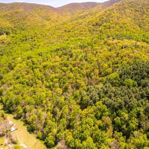 Photo #9 of Coffeytown Rd., Vesuvius, VA 27.0 acres