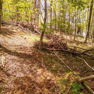 Photo #34 of Coffeytown Rd., Vesuvius, VA 27.0 acres