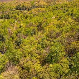 Photo #23 of Coffeytown Rd., Vesuvius, VA 27.0 acres