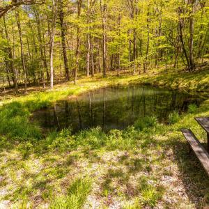 Photo #37 of Coffeytown Rd., Vesuvius, VA 27.0 acres