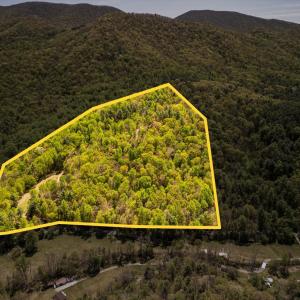 Photo #2 of Coffeytown Rd., Vesuvius, VA 27.0 acres