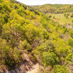 Photo #21 of Coffeytown Rd., Vesuvius, VA 27.0 acres