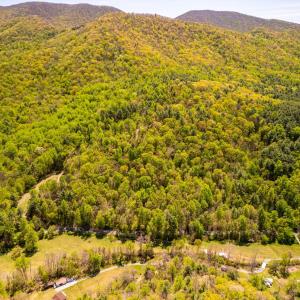 Photo #10 of Coffeytown Rd., Vesuvius, VA 27.0 acres
