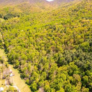Photo #25 of Coffeytown Rd., Vesuvius, VA 27.0 acres