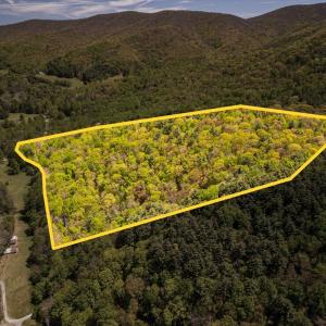 Photo #26 of Coffeytown Rd., Vesuvius, VA 27.0 acres