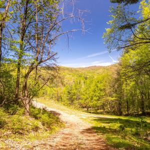 Photo #32 of Coffeytown Rd., Vesuvius, VA 27.0 acres