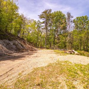 Photo #30 of Coffeytown Rd., Vesuvius, VA 27.0 acres