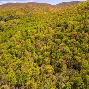 Photo #24 of Coffeytown Rd., Vesuvius, VA 27.0 acres