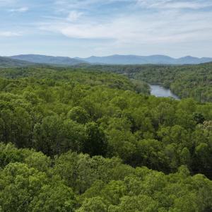 Photo #4 of Ruth Drive, Madison Heights, VA 10.6 acres