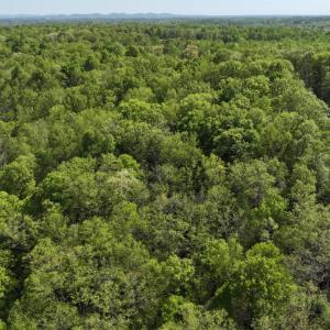Photo #3 of Ruth Drive, Madison Heights, VA 10.6 acres
