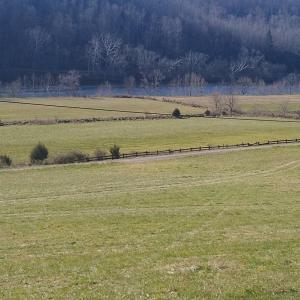 Photo #5 of Wilderness Creek Rd, Monroe, VA 55.0 acres