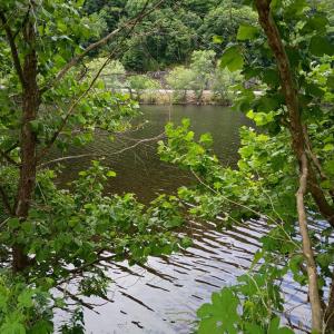 Photo #20 of Wilderness Creek Rd, Monroe, VA 55.0 acres