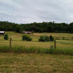 Photo #15 of Wilderness Creek Rd, Monroe, VA 55.0 acres