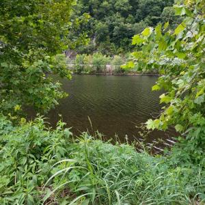 Photo #19 of Wilderness Creek Rd, Monroe, VA 55.0 acres
