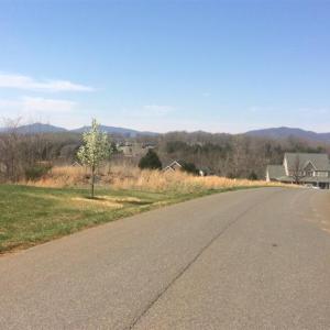 Photo #3 of Ivy Creek Estates, Forest, VA 1.4 acres