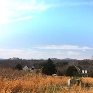 Photo #2 of Ivy Creek Estates, Forest, VA 1.4 acres