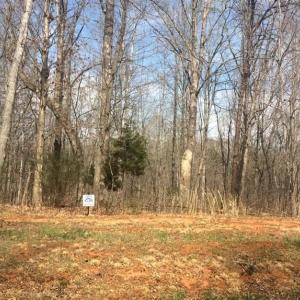 Photo #4 of Ivy Creek Estates, Forest, VA 1.4 acres