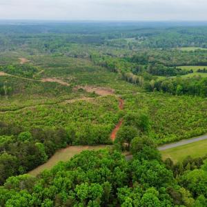 Photo #5 of Beckham Road, Concord, VA 138.4 acres