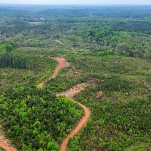 Photo #8 of Beckham Road, Concord, VA 138.4 acres