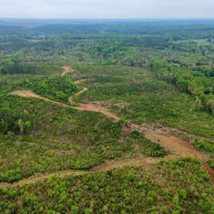 Photo #6 of Beckham Road, Concord, VA 138.4 acres