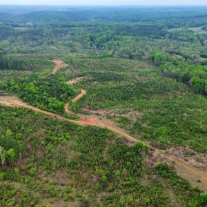 Photo #7 of Beckham Road, Concord, VA 138.4 acres