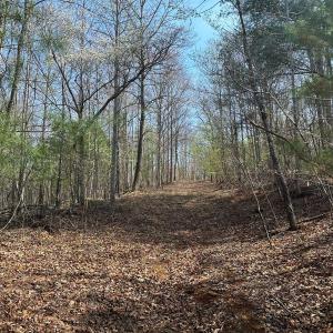 Photo #20 of Wagon Trail Rd, Monroe, VA 9.2 acres
