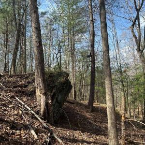 Photo #22 of Wagon Trail Rd, Monroe, VA 9.2 acres