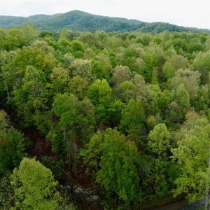 Photo #11 of Wagon Trail Rd, Monroe, VA 9.2 acres