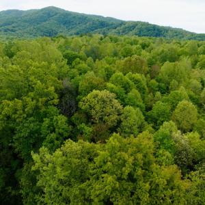Photo #12 of Wagon Trail Rd, Monroe, VA 9.2 acres