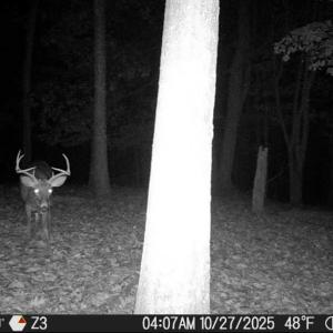 Photo #5 of Wagon Trail Rd, Monroe, VA 9.2 acres