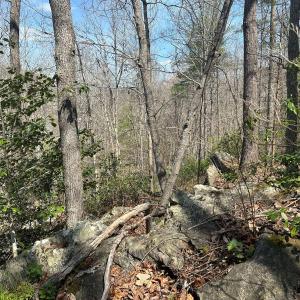 Photo #24 of Wagon Trail Rd, Monroe, VA 9.2 acres