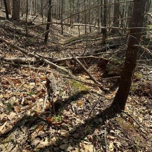 Photo #23 of Wagon Trail Rd, Monroe, VA 9.2 acres