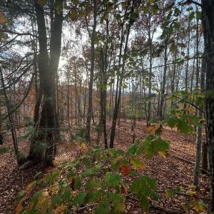 Photo #17 of Wagon Trail Rd, Monroe, VA 9.2 acres