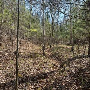 Photo #18 of Wagon Trail Rd, Monroe, VA 9.2 acres