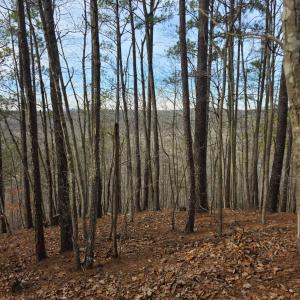 Photo #29 of River Bottom Lane, Concord, VA 97.3 acres