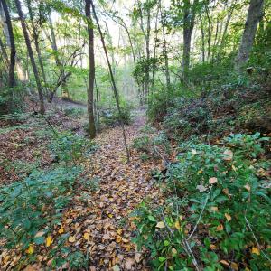 Photo #22 of River Bottom Lane, Concord, VA 97.3 acres