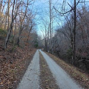Photo #32 of River Bottom Lane, Concord, VA 97.3 acres