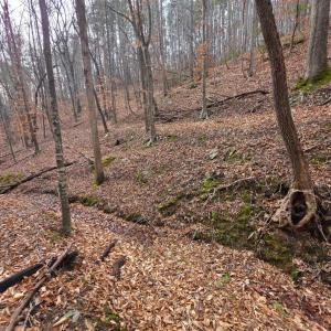 Photo #28 of River Bottom Lane, Concord, VA 97.3 acres