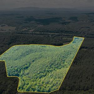 Photo #25 of River Bottom Lane, Concord, VA 97.3 acres