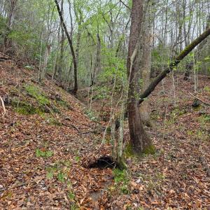 Photo #26 of River Bottom Lane, Concord, VA 97.3 acres