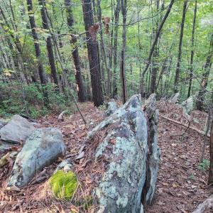 Photo #19 of River Bottom Lane, Concord, VA 97.3 acres