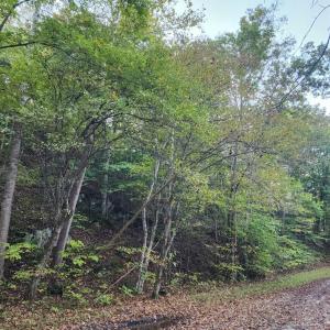 Photo #13 of River Bottom Lane, Concord, VA 97.3 acres