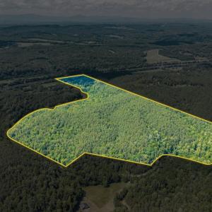 Photo #3 of River Bottom Lane, Concord, VA 97.3 acres