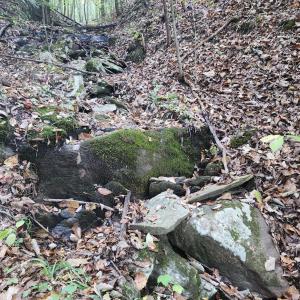 Photo #20 of River Bottom Lane, Concord, VA 97.3 acres