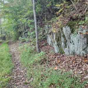 Photo #14 of River Bottom Lane, Concord, VA 97.3 acres