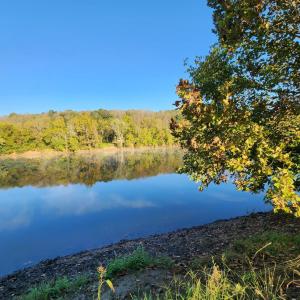 Photo #4 of River Bottom Lane, Concord, VA 97.3 acres