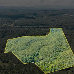 Photo #36 of River Bottom Lane, Concord, VA 97.3 acres