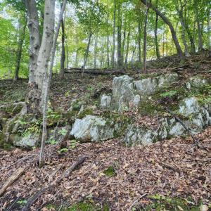 Photo #21 of River Bottom Lane, Concord, VA 97.3 acres