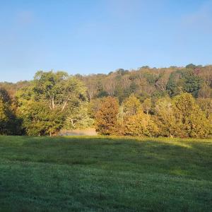 Photo #15 of River Bottom Lane, Concord, VA 97.3 acres