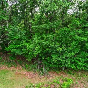 Photo #3 of Coolwell Road, Madison Heights, VA 36.0 acres